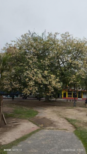 YRIGOYEN a pasos de PEATONAL